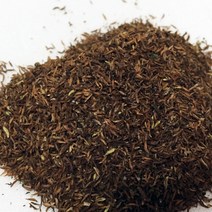 한농 눈개승마 씨앗 - 종자 산나물종자 삼나물, 눈개승마 씨앗 10ml