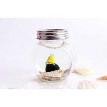 [나만의애완식물 DIY] 다나린 기획전/공기정화식물 개운죽 틸란시아 행운을 주는 마리모 키우기, 마리모-중형볼 세트