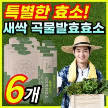 [15곡 발효효소] 새싹보리 곡물 발효 효소 분말 가루 스틱 파우더 탄수화물 단백질 지방 분해 아밀라아제 리파아제 인베르타아제 프로테아제 글루코아밀라아제 함유, 6개