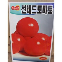 2023년 큰 토마토 씨앗 (썬레드100립 진흥종묘)