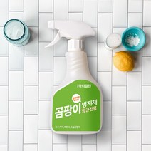 닥터클린 곰팡이 항균 전용 방지제 베란다 벽지 가구 화장실 곰팡이균 억제 500ml, 1개