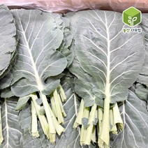 국내산 케일 쌈용 쌈케일 2kg, 단품