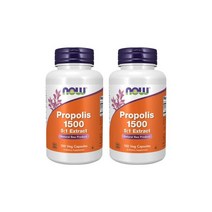 나우푸드 2개 Now Foods 프로폴리스 1500 분말 농축 가루 파우더 100 베지 캡슐