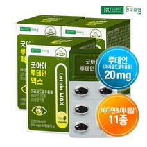 [건국유업] 굿아이 루테인 맥스 30캡슐x3개(3개월)