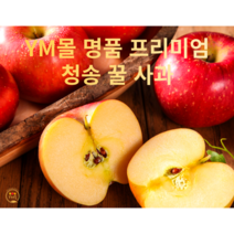 [YM몰] 껍질째 먹는 고당도 청송 꿀사과 부사 5kg 가정용 정품, 정품 청송 꿀사과 5kg 중소과(17~21과)