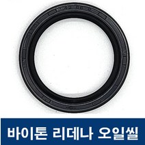 에스케이종합상사 바이톤 리데나 58-80-12 (58X80X12) 오일씰 TC