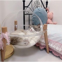 [민9직9] 반려동물 고양이 투명해먹 원목 캣선반 캣타워