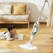 고압 핸디 스팀 물걸레 청소기 가정용 업소용 살균기 220V 청소 전기 고온 살균 진드기 제거 160 ℃ 3 기어 조절, EU