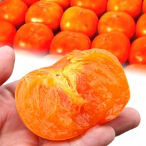 [청년농부] 대봉감 홍시 프리미엄 고당도 선물용 가정용 효도선물, 대봉감 (꼬마) 10kg 46과이상