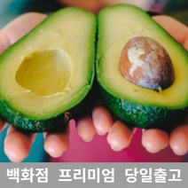 [특등급선별] 아보카도 4kg 과일 아보카도요리 아보카도오일 아보카도효능 아보카도먹는법 제철과일 새벽배송 겨울과일 열대과일 아보카도오일효능 아보카도유 아보카드 아보카도오일먹는법