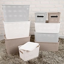 리빙패밀리 라탄패턴 수납바구니 리빙박스 라탄바스켓 덮개포함, 1개, 라탄바구니/중(베이지)