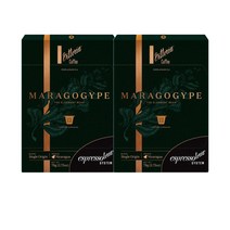 비토리아 에스프레소토리아 마라고지페 커피 캡슐 12개 Vittoria Espressotoria Maragogype Coffee Capsules, 2팩