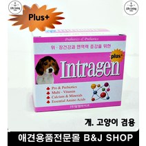 기운없는고양이 유산균스틱 비타민 강아지파우더 애견파우더 애견면역증진
