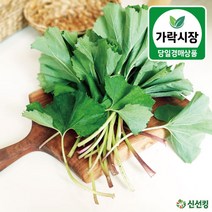 가락시장 당일경매 머위 200g 도매야채 신선킹 가락시장야채 가락시장머위 500g / 1kg