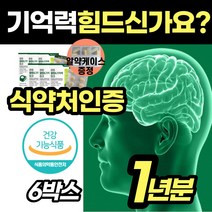 [은행잎 기억력] 혈관 건강 혈행개선제 영양제 다리 혈액 하체 종아리 가 찌릿 징코 비타민 B 아연 면역력 순환 추천 선물 노인 어르신 노년 중년 남자 여자 건강 관리 식품, 6박스
