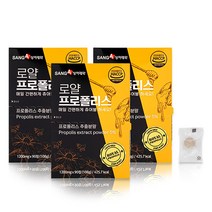 로얄 츄어블 프로폴리스 씹어먹는 캔디형 플라보노이드 환절기건강 구강건강 항균 항산화 성분 꿀벌 페퍼민트향 자일리톨 추출분말 목불편 온가족, 3박스, 1200mg 90정