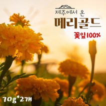 마리골드 꽃차 국산 메리골드 마리골드차 눈건강 루테인 지아잔틴 성분 금잔화 꽃잎 차 티 효능 추천 제주도, 70g X 1개, 금잔화(메리골드)