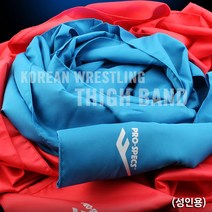 씨름 샅바 성인 민속 어른용 동호회 블루+레드(1세트) _>20230938EA, 본상품선택” class=”wr-img”></a></div>
</div>
</div>
</div>
<div class=