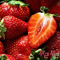 진코어 국내산 딸기 2kg 제철 농장 설향, 1
