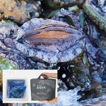 [통영삼공주] 통영활전복1kg(11~12미)선물세트, 상세 설명 참조