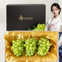 샤인머스켓 선물세트 고당도 백화점용, 샤인머스켓선물세트2KG(네트망포장), 1박스