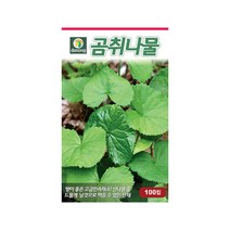 산나물 곰취 나물 씨앗 100립 고급 민속채소, 1개