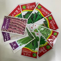 루아데코 채소재배 씨앗 모음 열무 시금치 완두콩 옥수수 베란다 텃밭만들기, 비타엇갈이