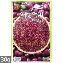 백작두콩 씨앗 10립 - 작두콩 작두콩씨앗 작두콩씨 콩씨앗 콩씨 씨 주말농장 텃밭, 16_왜성적피강낭콩(30g)