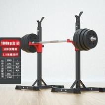 가정용 헬스장 벤치프레스 바벨 거치대 역기 홈짐 조절식 벤치 홈트 피트니스, 개별 스쿼트 랙 + 바벨 100kg