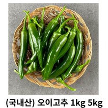 오이고추 1kg 2kg 5kg 국내산 산지직송 오이맛고추 모닝고추 아삭아삭 아삭이고추 안매운고추 장아찌 절임 된장무침 피클, 1box