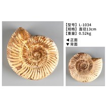 암모나이트 화석 천연 해성 자개 화석 원석 장식 탁상 진열 국석 소장 술장 장식 소품 손잡이, 옵션13
