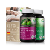슬림플래닛 올데이 다이어트 가르시니아 + 카테킨 + 잔티젠 세트B, 5세트