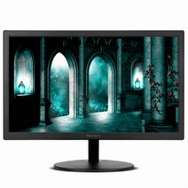 비트엠 46.99cm Newsync B195H 프리싱크 HDR 19인치모니터, B195H 결점