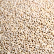 찰쌀보리 1kg, 1개