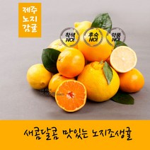 [오늘의마켓] 제주 서귀포 고당도 조생 노지감귤 꼬마과 중대과 로얄과 3kg 5kg 10kg, .10kg