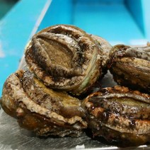 남해 공식 해녀가 직접 잡은 자연산 전복, 대 / 1kg / 6마리