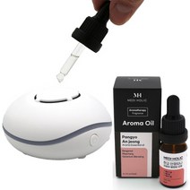 심리안정 판교 안정되니 순수 에센스오일 USB 천연디퓨저 실내방향제 DIFFUSER, 판교 아로마오일10ml+USB