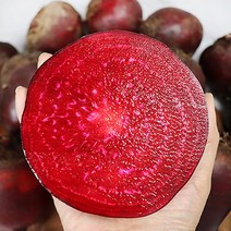 비트제철 햇비트 무농약 제주레드비트3kg5kg10kg, 레드비트_상 3kg