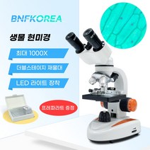생물 현미경 BF-24B (98397)