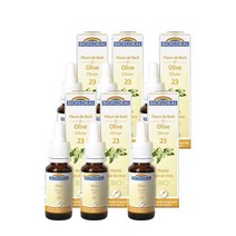 올리브 25ml Biofloral Fleurs De Bach 23, 6팩