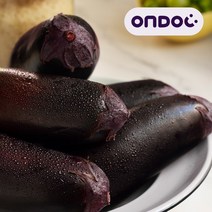 [온도씨]국내산 싱싱한 여주 금보라 생 가지 16개입내외 2.5kg(상), 단품