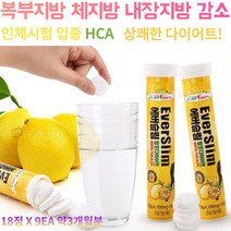 복부비만 상체비만 다이어트 건강기능식품 출산후 갱년기 여성 체지방 감소 복부지방상체비만 가르시니아