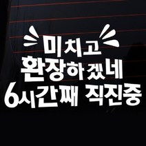 [KT알파쇼핑]자동차스티커_글씨 미치고 환장하겠네 6시째 직진중(반사지)