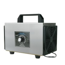 12V 차량용 오존 생성기 자동차 실내 발생기 인테, 5g(체지아겸용)