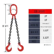 더블후크 크레인 후크 체인 리프팅 갈고리 슬링, 2톤 2레그 0.5m