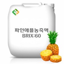 파인애플농축액 20kg, 단품