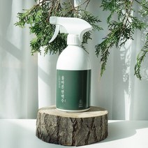 페인트인포 올바른 고농도 편백수 스프레이 탈취제, 500ml