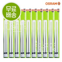 오스람 형광등 FPL36W Dulux L 36W 865 10개입, 주광색