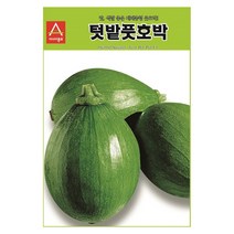 풋호박씨앗 30알 호박 씨앗 마디호박