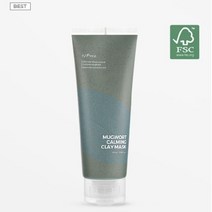 이즈앤트리 리얼 머그워트 클레이 마스크(null), 100ml, 1